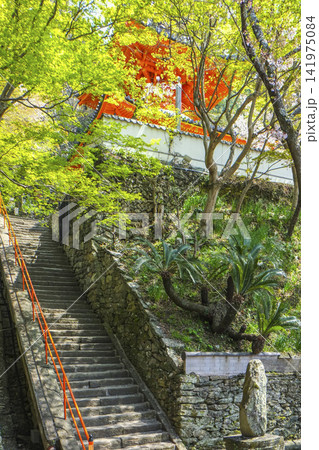 紀三井寺(和歌山県)境内 紀三井寺(和歌山県)境内 141975084