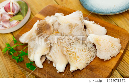 Preparing to cook soup or other dishes from fresh oyster mushrooms in kitchen Preparing to cook soup or other dishes from fresh oyster mushrooms in kitchen 141975571