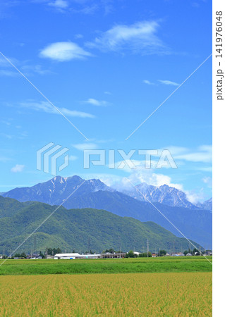 夏の北アルプス後立山連峰 夏の北アルプス後立山連峰 141976048