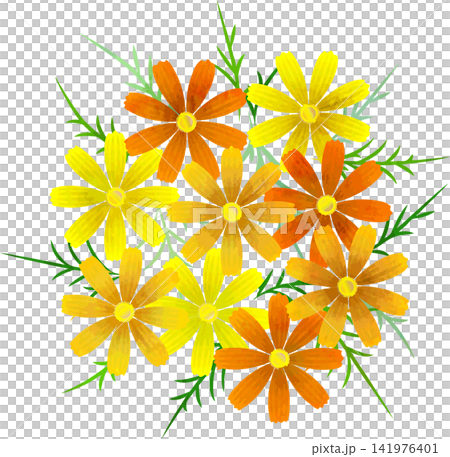 水彩風格向量波斯菊花束(黃色花朵) 水彩風格向量波斯菊花束(黃色花朵) 141976401