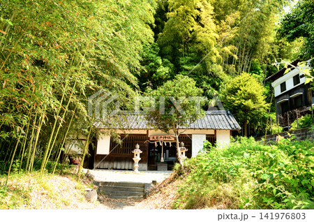天岩戸神社 【奈良県橿原市内膳町】 天岩戸神社 【奈良県橿原市内膳町】 141976803