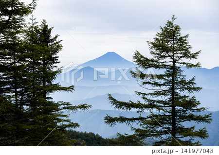 百名山雲取山から望む富士山 百名山雲取山から望む富士山 141977048