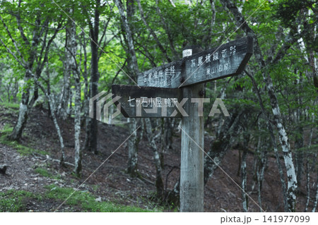 石尾根縦走路の道標 141977099