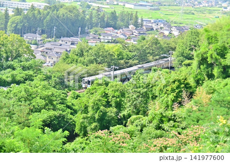 篠山自然遊歩道の高台から俯瞰する初夏の風景 篠山自然遊歩道の高台から俯瞰する初夏の風景 141977600