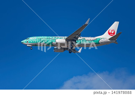 日本トランスオーシャン航空(JTA)の結ジンベエ 日本トランスオーシャン航空(JTA)の結ジンベエ 141978088