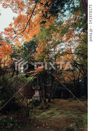 寺院の庭園の紅葉 寺院の庭園の紅葉 141978173