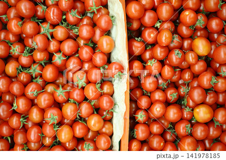 Tomatoes gathered in a crate in a market setting Tomatoes gathered in a crate in a market setting 141978185