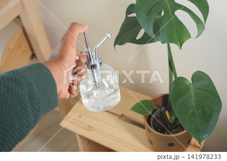 Holding a watering can near a green plant indoors Holding a watering can near a green plant indoors 141978233