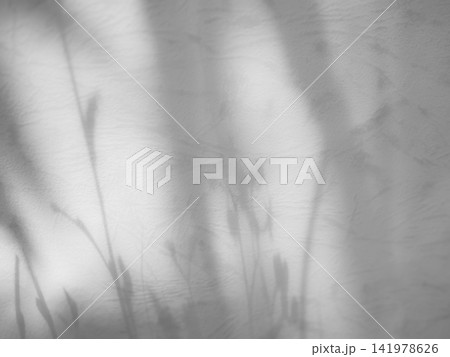 Shadow light summer background sunight overlay nature on room cement wall floor abstract blur muckup effect grey minimal platform for presentation product backdrop, wallpaper template display. Shadow light summer background sunight overlay nature on room cement wall floor abstract blur muckup effect grey minimal platform for presentation product backdrop, wallpaper template display. 141978626
