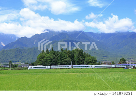 大糸線 夏の安曇野を行く特急あずさ 大糸線 夏の安曇野を行く特急あずさ 141979251