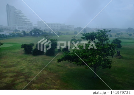 台風による暴風雨の風景 141979722