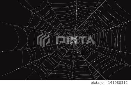 Halloween scary cobweb, spiderweb net. Horror holiday tangled spider web thread, October party hanging sticky trap vector decoration. Halloween season stretching spiderweb net or decor element 141980312
