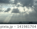 ゲリラ雷雨の後 光芒が差し込む都市風景 141981704