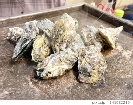 鉄板の上で豪快に蒸し焼きにされる新鮮な殻付き牡蠣 鉄板の上で豪快に蒸し焼きにされる新鮮な殻付き牡蠣 141982219