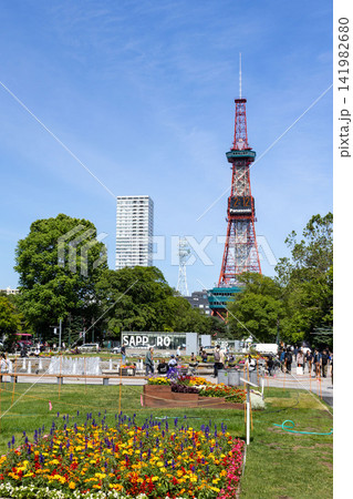 花壇が彩る夏の大通公園とさっぽろテレビ塔 花壇が彩る夏の大通公園とさっぽろテレビ塔 141982680