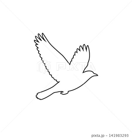 flying bird outline wildlife animal isolated on white background 141983293