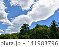北海道　十勝の青空 141983796