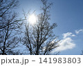冬の北海道の空 141983803