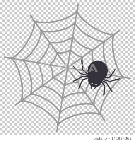Spiders and spider webs Spiders and spider webs 141984368