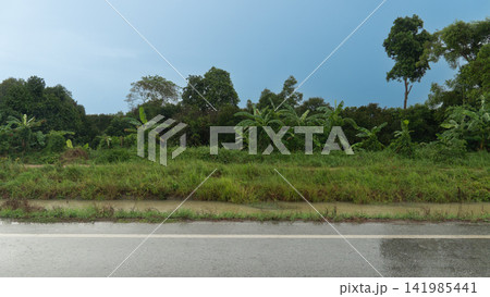 Horizontal or landscape view of wet asphalt road. Runs alongside a lush green field and trees under a cloudy sky after rain. Road with a stream separating the main road from a rural dirt road. Horizontal or landscape view of wet asphalt road. Runs alongside a lush green field and trees under a cloudy sky after rain. Road with a stream separating the main road from a rural dirt road. 141985441