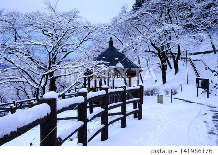【神奈川県】東屋と桜の冠雪樹林 【神奈川県】東屋と桜の冠雪樹林 141986176