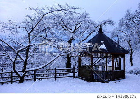 【神奈川県】東屋と桜の冠雪樹 【神奈川県】東屋と桜の冠雪樹 141986178