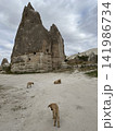 カッパドキアの景色と犬_ トルコ_カッパドキア_ Göreme 141986734