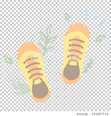 上から見たスニーカーと植物のウォーキング準備の手描きイラスト 上から見たスニーカーと植物のウォーキング準備の手描きイラスト 141987119