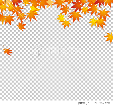 Autumn imagery: 15 autumn leaves Autumn imagery: 15 autumn leaves 141987366