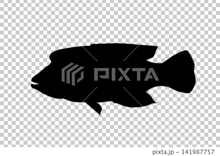 白色背景上的隆頭瀨魚剪影插圖 白色背景上的隆頭瀨魚剪影插圖 141987757