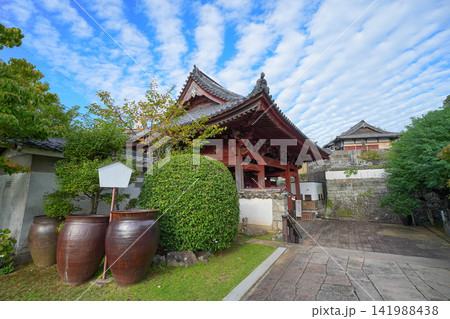 興福寺 興福寺 141988438
