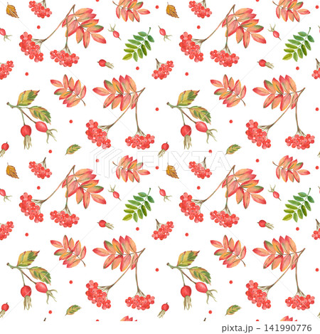 Watercolor autumn seamless pattern with rowan berries and rose hips Watercolor autumn seamless pattern with rowan berries and rose hips 141990776
