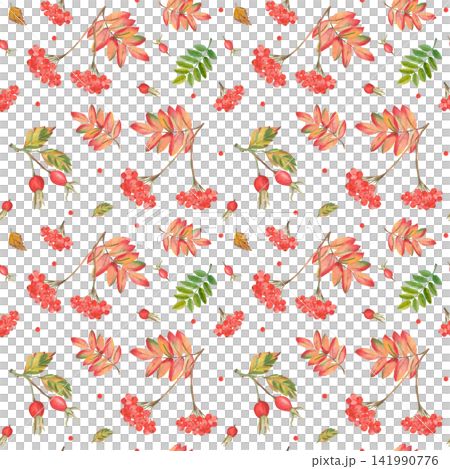 Watercolor autumn seamless pattern with rowan berries and rose hips Watercolor autumn seamless pattern with rowan berries and rose hips 141990776