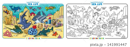 Sea theme. Big coloring book set. Kids vector 141991447