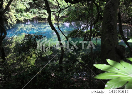 新緑の森に佇む神秘の青い池、山形県遊佐町の丸池様 新緑の森に佇む神秘の青い池、山形県遊佐町の丸池様 141991615