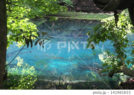 新緑の森に佇む神秘の青い池、山形県遊佐町の丸池様 新緑の森に佇む神秘の青い池、山形県遊佐町の丸池様 141991653