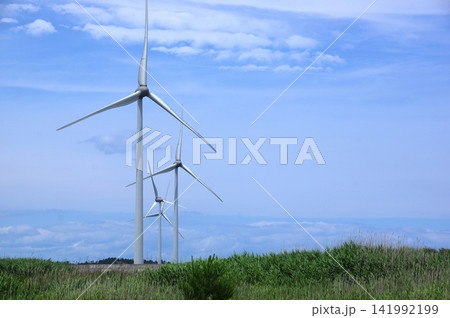 海風を受けて発電する風力発電の様子 141992199