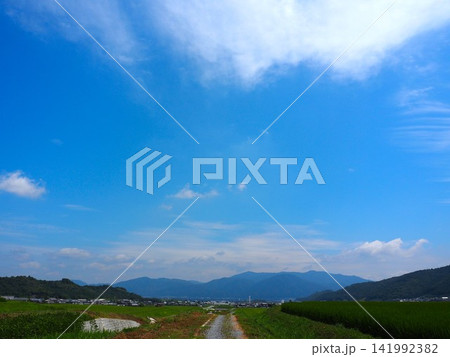 一本道のある風景 一本道のある風景 141992382