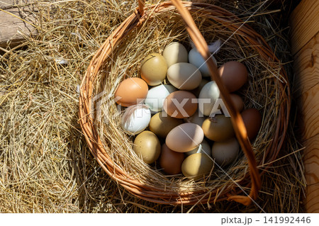 Fresh farm eggs in woven basket on straw 141992446