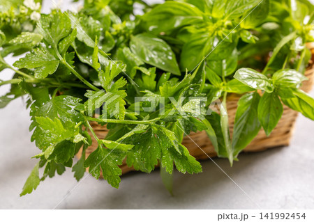 Fresh organic parsley and basil herbs in basket Fresh organic parsley and basil herbs in basket 141992454