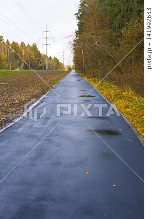 Wet asphalt path leading through autumn forest toward distant power lines under cloudy sky Wet asphalt path leading through autumn forest toward distant power lines under cloudy sky 141992633