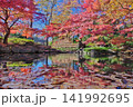 紅葉の日本庭園と枯葉 141992695