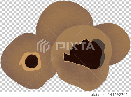 illustration of allspice illustration of allspice 141992742