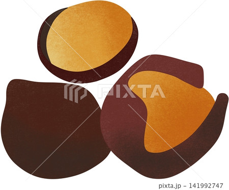 illustration of nutmeg illustration of nutmeg 141992747