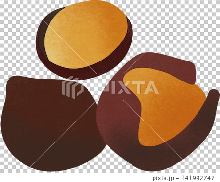 illustration of nutmeg illustration of nutmeg 141992747