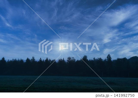 朝霧のある風景 朝霧のある風景 141992750