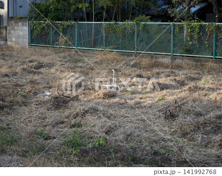 雑草が生い茂る管理不全の空き地が描く都市の表情 141992768