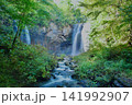 神秘的な滝 141992907
