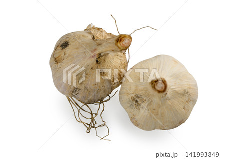 Two Whole Garlic Bulbs from Above Two Whole Garlic Bulbs from Above 141993849