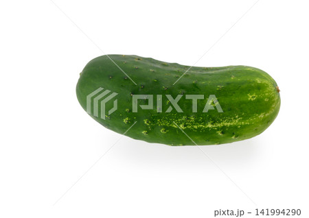 Single Fresh Cucumber Single Fresh Cucumber 141994290